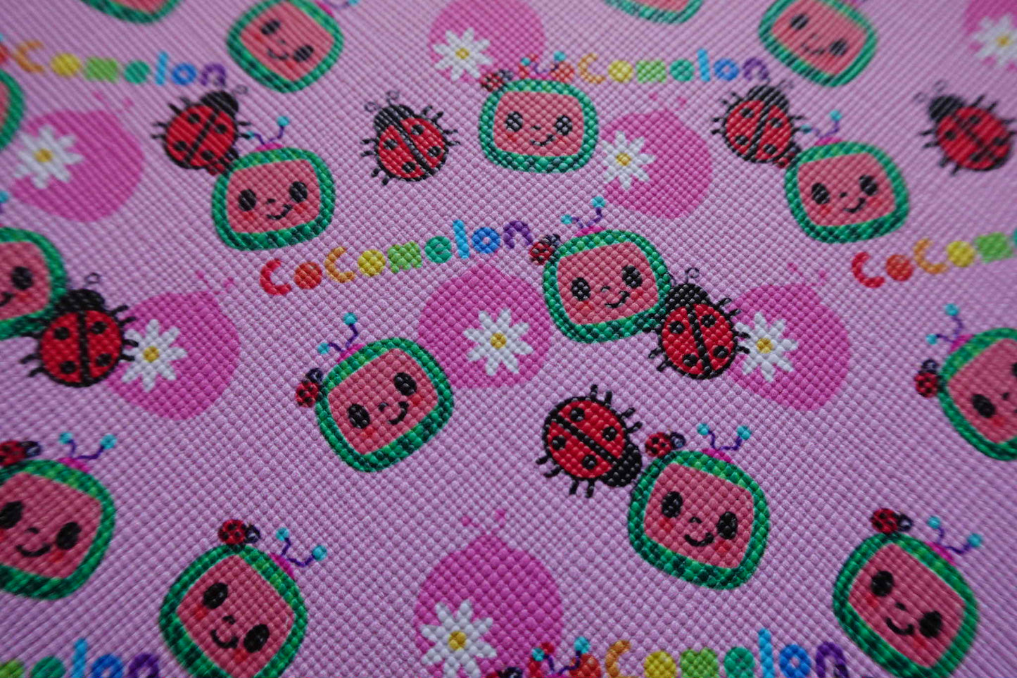 Cocomelon vinyl